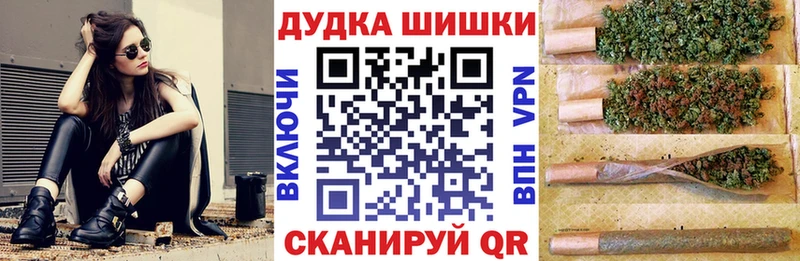 Купить где  Алатырь  Каннабис гибрид 